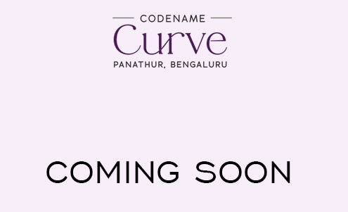 Codename Curve image 1